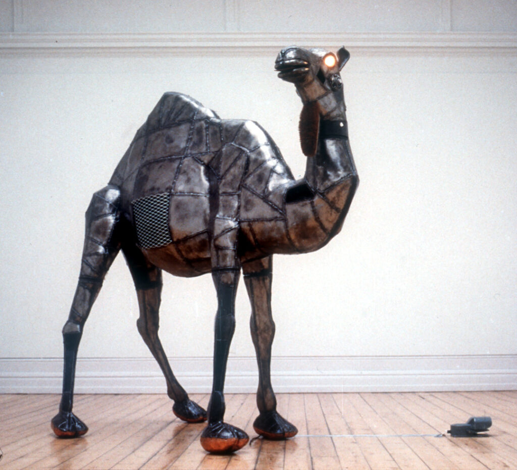 Randy Camel