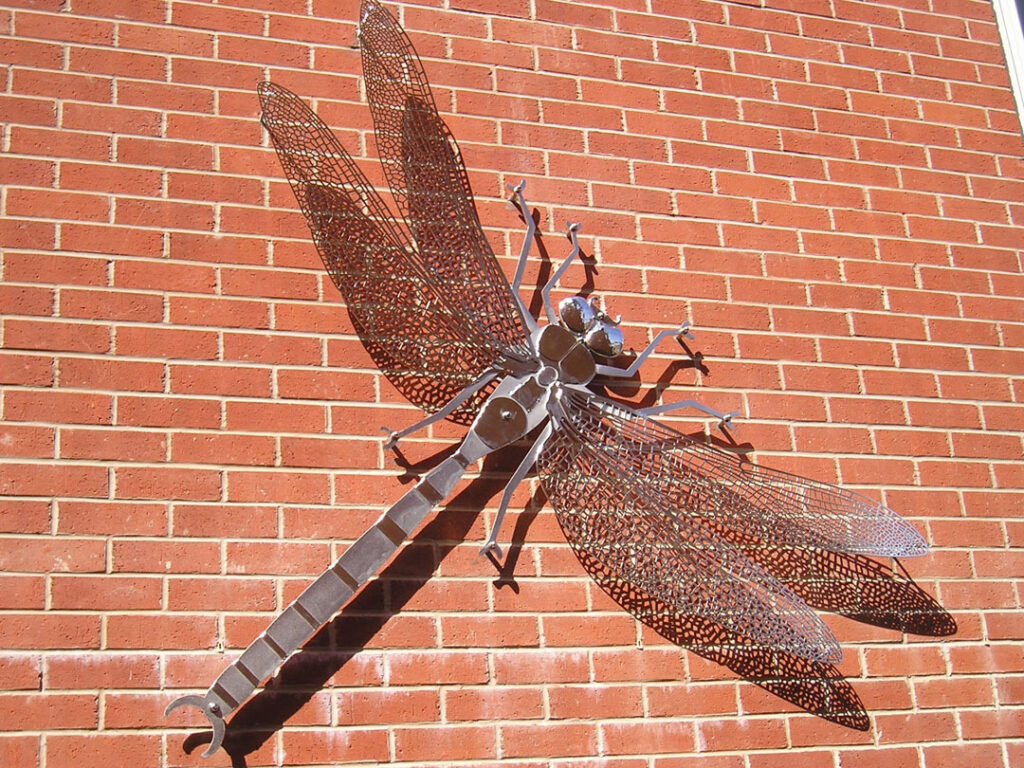 Emperor Dragonfly