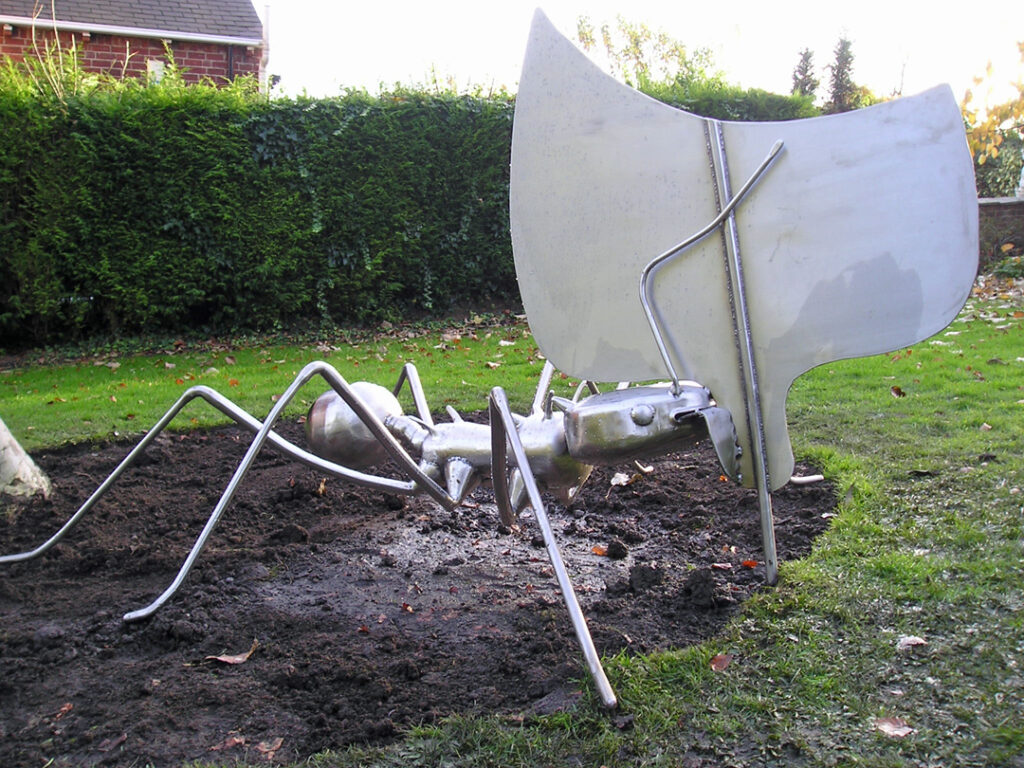 Leaf Cutter Ant