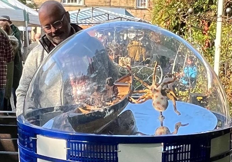 Storm in a Teacup went to market